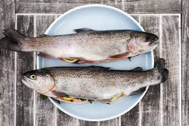 Freshwater Fish