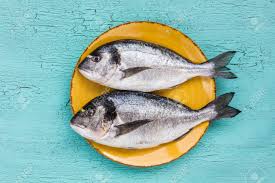 Sea Fish