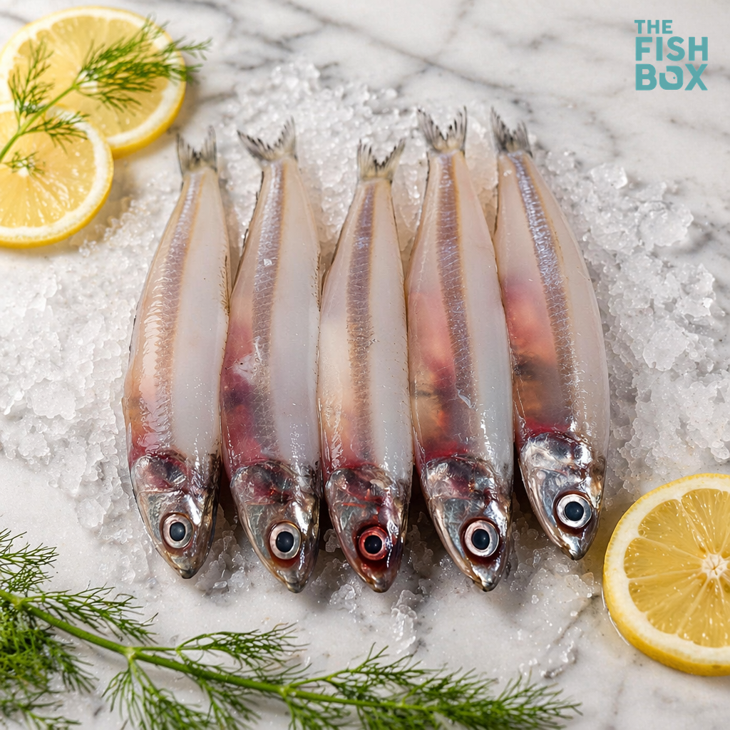 Nethili (Anchovy)