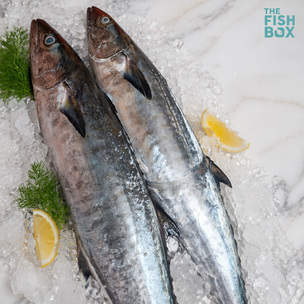 Vanjaram (Seer Fish)